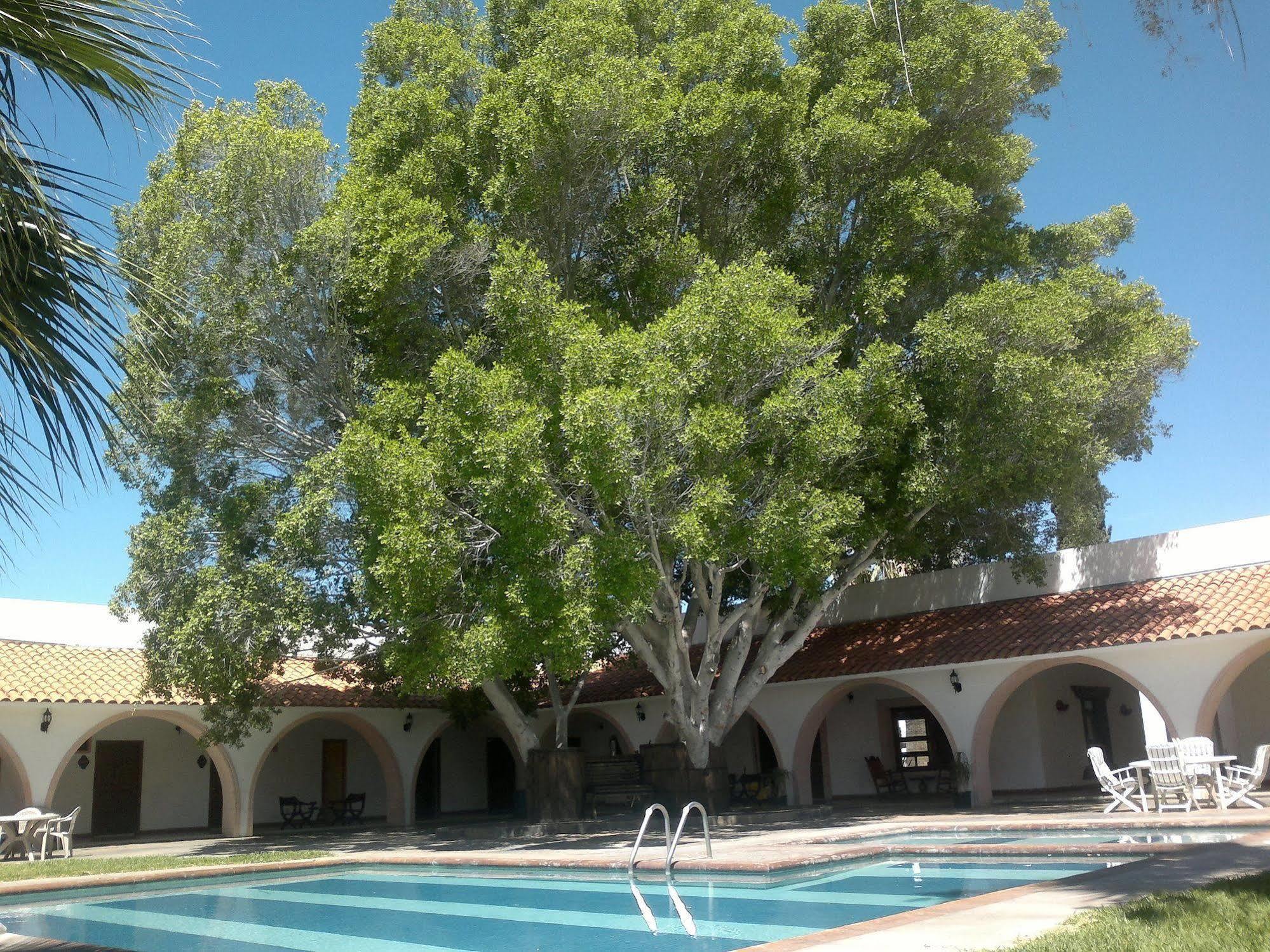 Hotel Mision Catavina Esterno foto